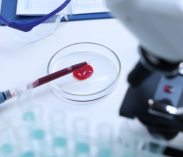 Биохимические исследования