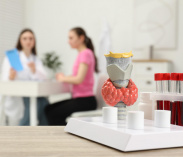 Гормоны и эндокринология